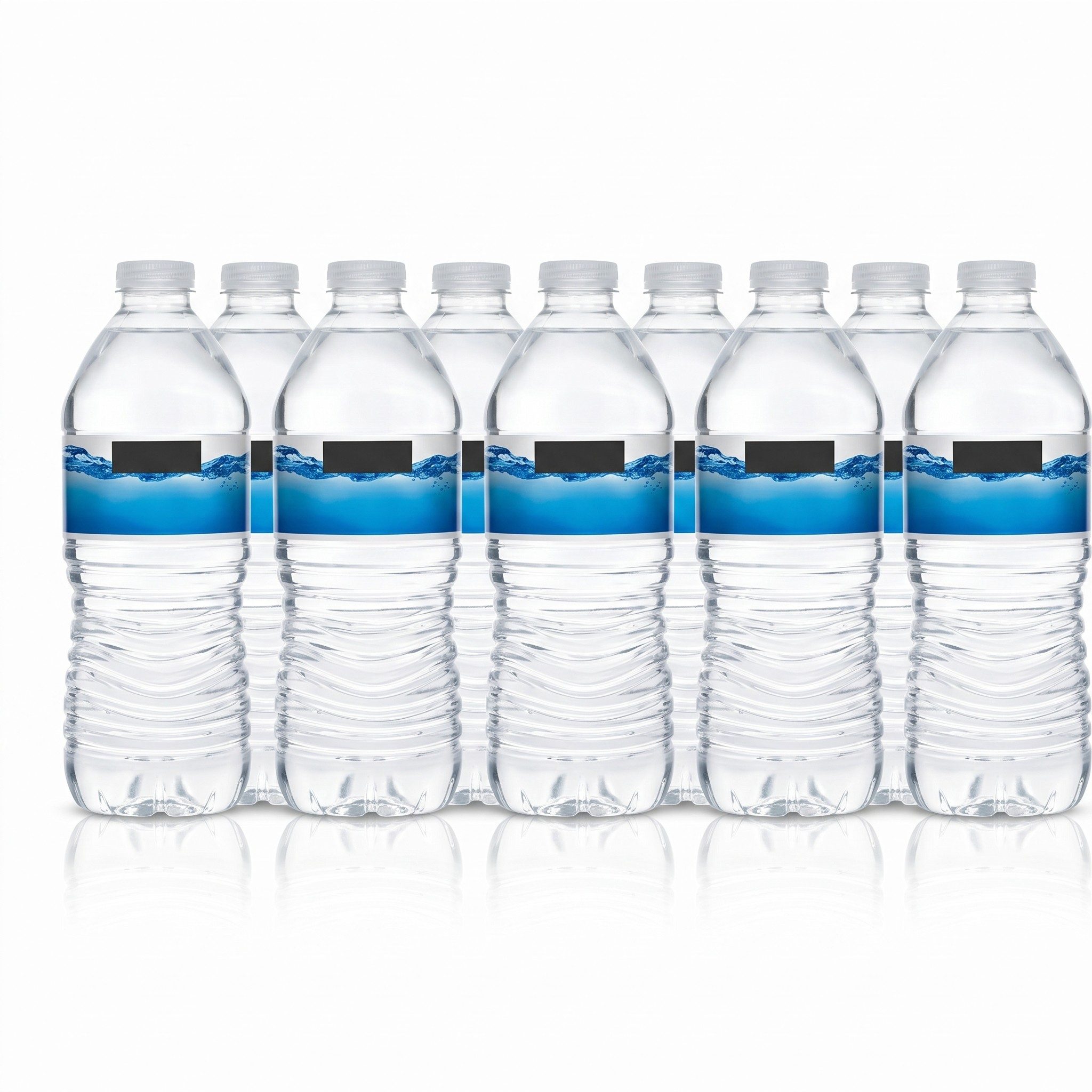Bottled Water 16.9oz.